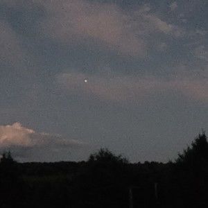 Meet your Posher, Abigail